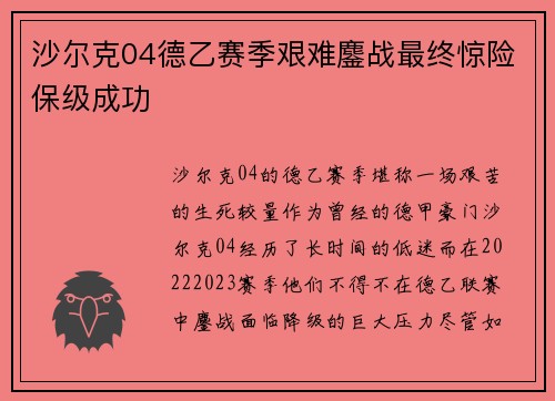 沙尔克04德乙赛季艰难鏖战最终惊险保级成功